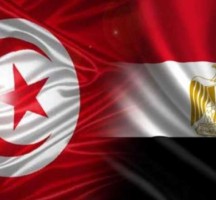 مصر تعرب عن تضامنها مع الشعب التونسي