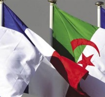 الشيخي .. فرنسا نشرت الأمية في الجزائر ومحاولة لمصالحة الذاكرة