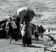 الأزهر الشريف: أقدم قضية هي اللاجئين الفلسطينيين