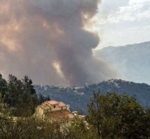 بالصور.. الجزائر تشتعل والقتلى بالعشرات