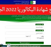 موعد إعلان نتائج البكالوريا 2022 في الجزائر