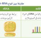 يسمى الجزء من ال dna المحمول على الكروموسوم والمسؤول عن تصنيع بروتين بالجين