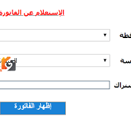 الاستفسار عن فاتورة الكهرباء برقم العداد