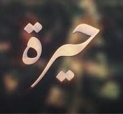 كم عدد حلقات مسلسل حيرة