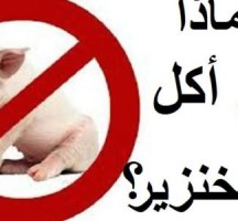 لماذا حرم الله لحم الخنزير