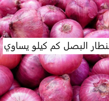 قنطار البصل كم كيلو