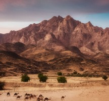 يؤثر الموقع الفلكي في مناخ وطني المملكة العربية السعودية