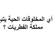 اي المخلوقات الحية يتبع مملكة الفطريات