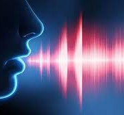 وجه الشبه بين الصوت البشري، والآلات الوترية أن مصدر الصوت هو