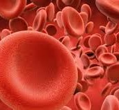 ما هي اعراض فقر الدم