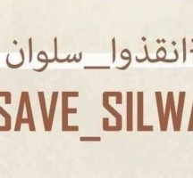 يتصدر وسم #انقذوا_سلوان لفضح انتهاكات الاحتلال