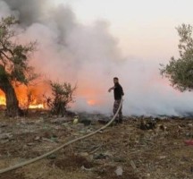مستوطنون صهاينة أضرموا النار في قرية جالود