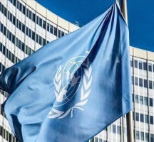 كيف اعرف وضع ملفي في الامم المتحدة