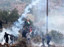 سابع فلسطيني يستشهد برصاص الاحتلال في بيتا