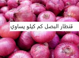 قنطار البصل كم كيلو