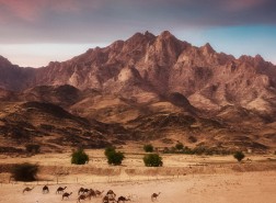 يؤثر الموقع الفلكي في مناخ وطني المملكة العربية السعودية