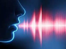 وجه الشبه بين الصوت البشري، والآلات الوترية أن مصدر الصوت هو
