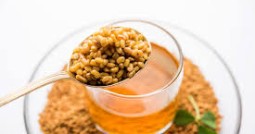 ماهي فوائد شرب الحلبة يومياً