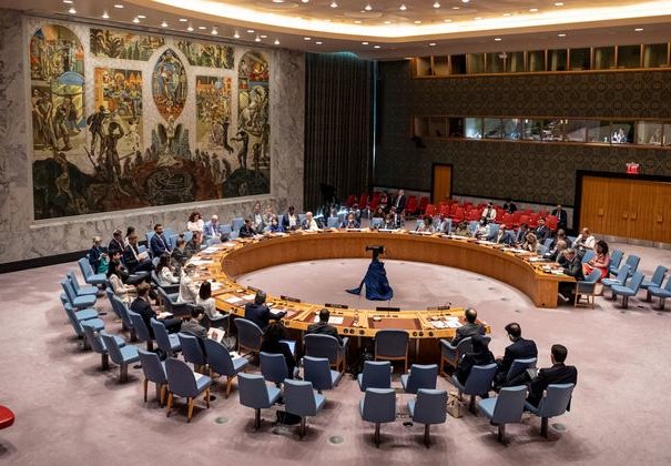 مجلس الأمن والإصلاح المنشود