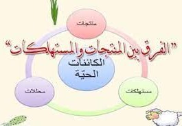 اي من العبارات الاتيه صحيحه فيما يخص الكائنات الحيه المنتجه