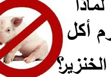 لماذا حرم الله لحم الخنزير