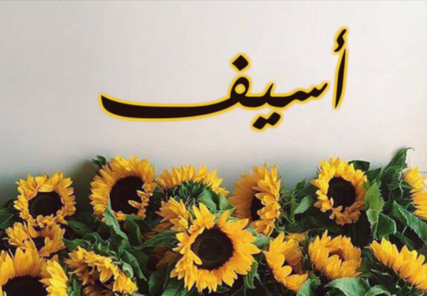 معنى كلمه اسيف 2023