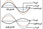 يسمى الأثر الناتج عن تراكب نبضتين، أو أكثر التداخل