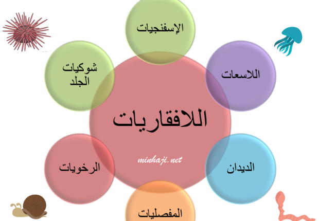 تمتاز الحيوانات الفقارية عن اللافقاريات ب