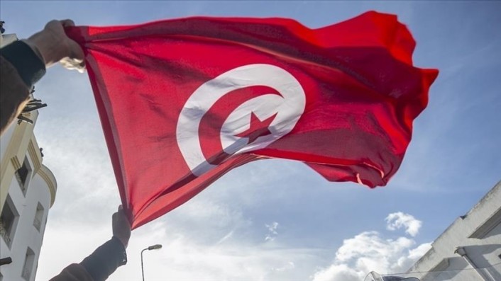 مقدمة عامة حول تونس الجميلة