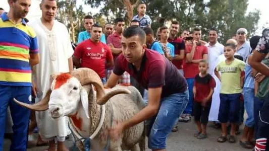 ما حكم من لا يضحي في العيد