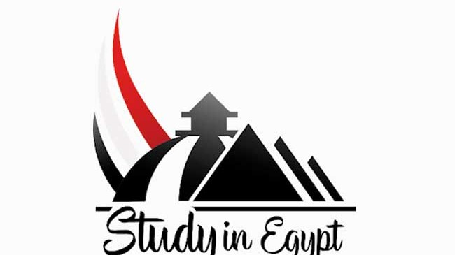 مبادرة ادرس في مصر - أرشيفية