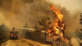 حرائق الغابات التركية
