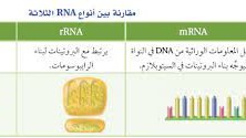 يسمى الجزء من ال dna المحمول على الكروموسوم والمسؤول عن تصنيع بروتين بالجين