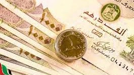 سعر الدرهم الإماراتي مقابل الجنيه المصري