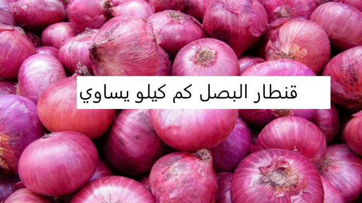 قنطار البصل كم كيلو