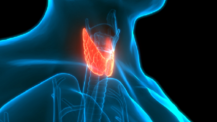 طبيبة روسية تكشف علامات اضطراب عمل الغدة الدرقية