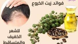 ما هي فوائد زيت الخروع للشعر