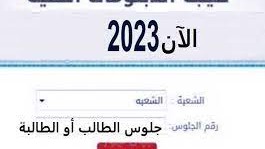 نتيجة الدبلومات الفنية 2023 برقم الجلوس والاسم