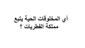 اي المخلوقات الحية يتبع مملكة الفطريات