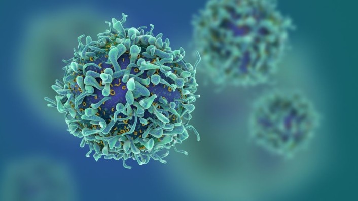 علماء: الخلايا المناعية مفتاح علاج التصلب المتعدد